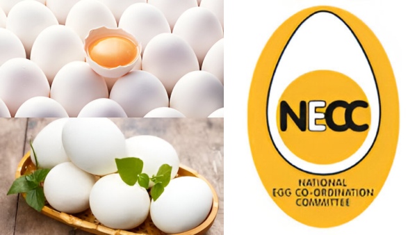 தாறுமாறாக உயரும் முட்டை விலை!! ஆம்லேட்டுக்கு ஆப்பா? முட்டை விலையை நிர்ணயம் செய்வது யார்?