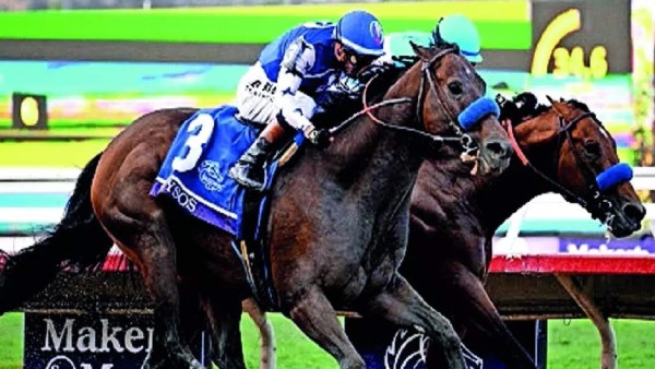 ஆன்லைன் குதிரைப் பந்தயத்திற்கு அனுமதி..? புதிய சட்ட மசோதாவை அமல்படுத்தும் கர்நாடக அரசு..!!