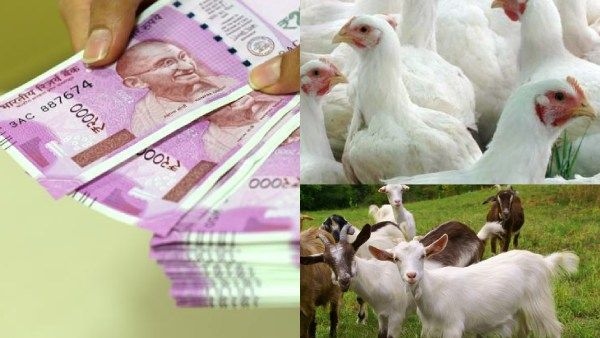 ரூ.50 லட்சம் வரை மானியம்! மத்திய அரசின் சூப்பர் திட்டம்!கிராமத்தில் இருந்தே கோடீஸ்வரர் ஆக வாய்ப்பு? ரூ.50 லட்சம் வரை மானியம்! மத்திய அரசின் சூப்பர் திட்டம்!கிராமத்தில் இருந்தே கோடீஸ்வரர் ஆக வாய்ப்பு?