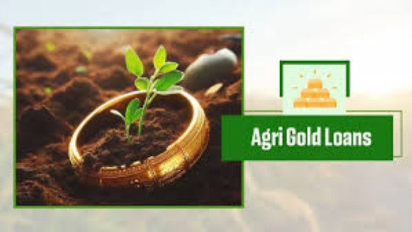 இந்த ஒரு ஆவணம் இருந்தா குறைந்த வட்டியில் தங்க நகை கடன் கிடைக்கும் தெரியுமா? இந்த ஒரு ஆவணம் இருந்தா குறைந்த வட்டியில் தங்க நகை கடன் கிடைக்கும் தெரியுமா?