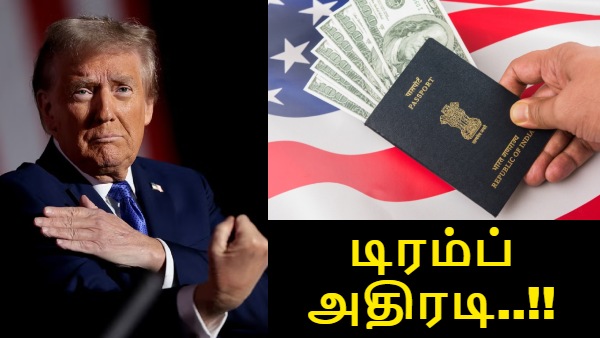 85000 விசா கேன்சல்: அமெரிக்காவில் இருக்கும் இந்தியர்கள் பீதி - எப்போது வேண்டுமானாலும் வெளியேற்றலாம்!