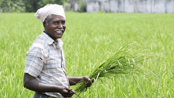 பட்ஜெட் 2026 : விவசாயிகளுக்கான நிதியுதவி ரூ.6000இல் இருந்து ரூ.10,000ஆக உயர்த்தப்படுகிறதா?