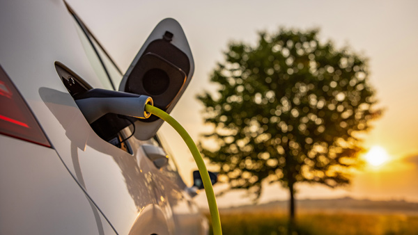 பட்ஜெட்டில் எத்தனை பேர் இந்த திட்டங்களை கவனித்தீர்கள்?