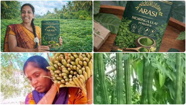 வறுமையை வென்று சாதனை படைத்த பொன்னரசி! லட்சங்களில் டர்ன் ஓவர்! முருங்கை டூ மல்டிநேஷனல் பிசினஸ்!