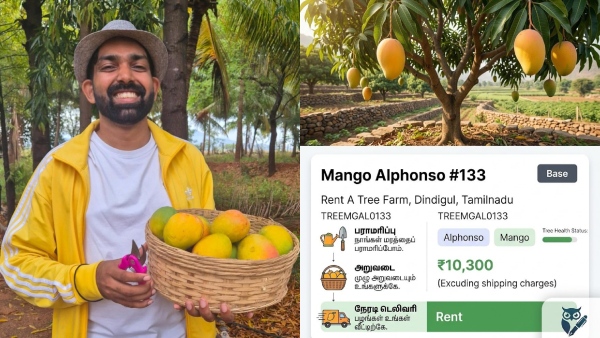 பொட்டி பொட்டியா மாம்பழம் வீடு தேடி வரணுமா? ஒரு கிளிக் செஞ்சாலே போதும் மாந்தோப்பே சொந்தமாகும்!!