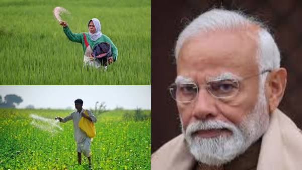 சிலிண்டர் தட்டுப்பாட்ட விடுங்க!! ஈரான் போரால் நாட்டின் முதுகெலும்புக்கே பிரச்சினை வரப்போகுது!! சிலிண்டர் தட்டுப்பாட்ட விடுங்க!! ஈரான் போரால் நாட்டின் முதுகெலும்புக்கே பிரச்சினை வரப்போகுது!!