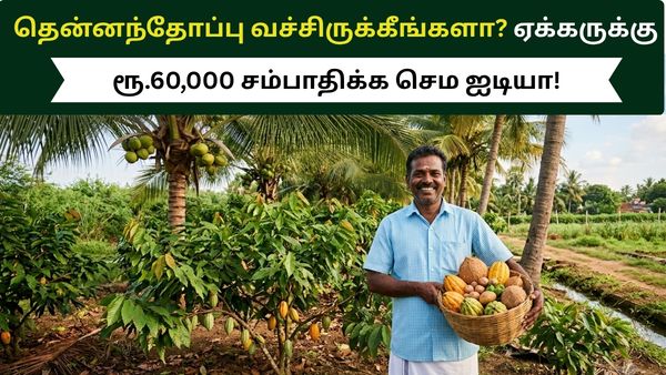 தென்னந்தோப்பு வச்சிருக்கீங்களா? கூடுதலாக ஏக்கருக்கு ரூ.60,000 சம்பாதிக்க அசத்தலான ஐடியா! தென்னந்தோப்பு வச்சிருக்கீங்களா? கூடுதலாக ஏக்கருக்கு ரூ.60,000 சம்பாதிக்க அசத்தலான ஐடியா!