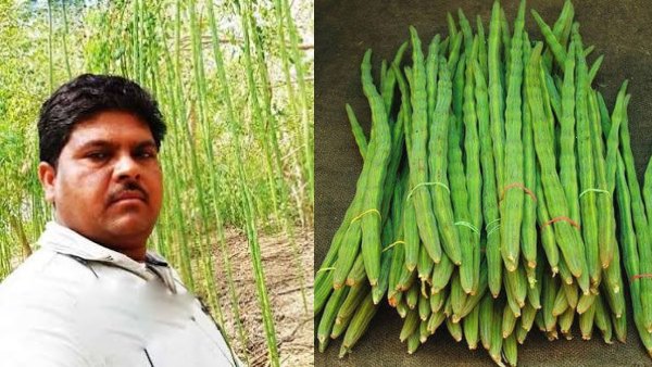 முருங்கைக்காய்க்கு இவ்வளவு டிமாண்டா..!! ஆண்டுக்கு ரூ.25 லட்சம் வருமானம் கிடைக்குதாம்..!!