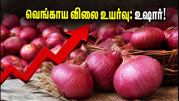 வெங்காய விலை உயர்வு: பட்ஜெட்டை சமாளிப்பது எப்படி?
