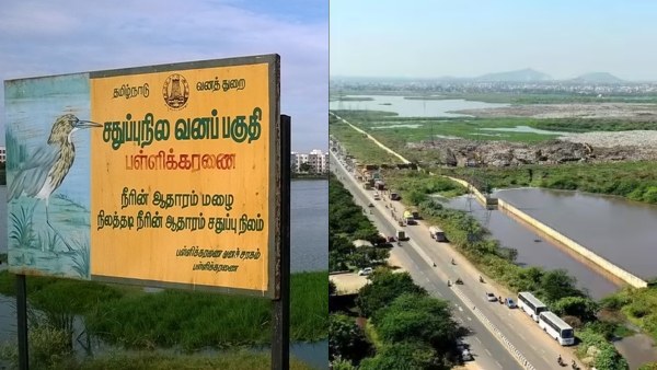 சென்னையில் 1 லட்சம் பேர் பாதிப்பு.. ரூ.72,000 கோடி இழப்பு..!! பள்ளிக்கரணையில் என்ன தான் நடக்கிறது? சென்னையில் 1 லட்சம் பேர் பாதிப்பு.. ரூ.72,000 கோடி இழப்பு..!! பள்ளிக்கரணையில் என்ன தான் நடக்கிறது?