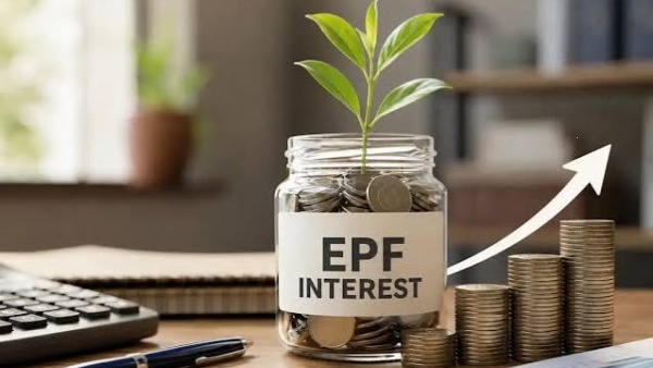 வேலையை விட்டு நின்றாலும் PF பணத்திற்கு வட்டி கிடைக்குமா? EPFO விதிமுறைகள் சொல்வது என்ன? வேலையை விட்டு நின்றாலும் PF பணத்திற்கு வட்டி கிடைக்குமா? EPFO விதிமுறைகள் சொல்வது என்ன?