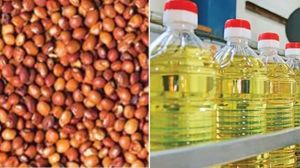 AP News: ప్రజలకు గుడ్ న్యూస్.. తక్కువ ధరకే కందిపప్పు, వంట నూనె..!