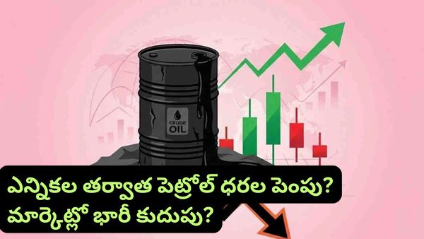 పెట్రోల్, డీజిల్ ధరలు పెరిగితే ఈ షేర్లు పడిపోవచ్చు! మీ పోర్ట్‌ఫోలియో జాగ్రత్త!