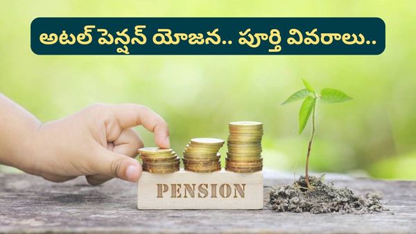 Atal pension yojana:అటల్ పెన్షన్ యోజన.. ఏ వయసులో ఎంత ఇన్వెస్ట్ చేయాలి? పూర్తి ఛార్ట