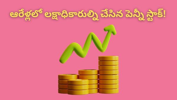 పెన్నీ స్టాక్స్‌లో పెట్టుబడి పెడుతున్నారా? ఈ కంపెనీ సక్సెస్ స్టోరీ చూస్తే మైండ్ బ్లాక్ అవ్వ