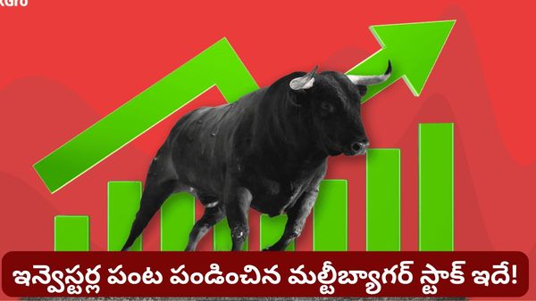 మల్టీబ్యాగర్ అలర్ట్! దూసుకుపోతున్న సోలార్ షేరు.. Q4 ప్రాఫిట్ 158% జంప్!