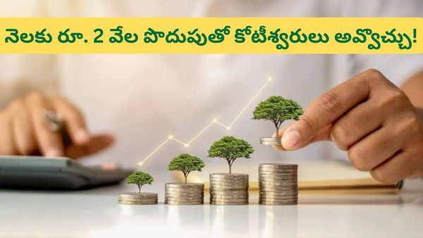 చిన్న పొదుపు.. పెద్ద నిధి! PPF అకౌంట్‌లో నెలకు రూ. 2 వేల తో రూ. 1.08 కోట్లు సంపాదించండిలా!