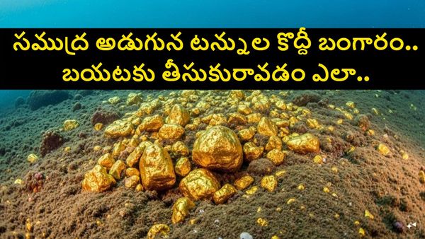 పసిఫిక్ మహాసముద్రం అడుగున భారీ బంగారు నిక్షేపాలు.. కంటికి కనపడని పసిడిని చూసి షాకవుతున్న సైంటిస్టులు..