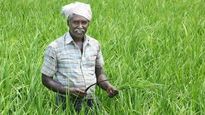 PM Modi: మోదీ ప్రభుత్వం కీలక నిర్ణయం.. 13 కోట్ల రైతులు, గ్రామీణుల లబ్ధి కోసం..  