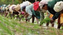 PM Kisan: పీఎం కిసాన్ డబ్బు వెనక్కివ్వాలంటూ ఆ రైతులకు నోటీసులు.. మీకూ ఇలా జరగొచ్చు.. ఎందుకంటే..