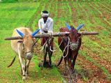 PM Kisan Nidhi Samman Yojana:రైతులకు అలర్ట్.. ఈకేవైసీ చేసుకుంటేనే పీఎం కిసాన్ డబ్బులు.. చివరి తేదీ ఎప్పుడంటే..