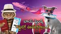 Akasa Air: జంతు ప్రియులకు ఆకాశ గుడ్ న్యూస్.. నవంబర్ 1st నుంచి అందుబాటులోకి.. 