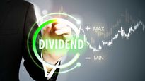  Dividend: ఒక్కో షేరుకు రూ.100 డివిడెండ్.. మీ దగ్గర ఈ అగ్రోకెమికల్ స్టాక్ ఉందా..?