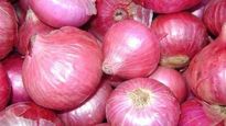 Onion Price: కన్నీరు పెట్టిస్తున్న ఉల్లి.. కిలో ఉల్లిగడ్డ 220 రూపాయలు..!