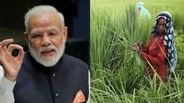pm kisan: రైతులకు కేంద్రం శుభవార్త.. ఏపీ కర్షకులకు మాత్రం డబల్ ధమాకా..