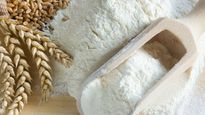 Wheat: కేంద్ర ప్రభుత్వం చర్యలతో తగ్గిన గోధుమల ధర..