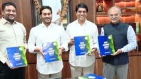 andhra: AP సామాజిక ఆర్థిక సర్వే విడుదల చేసిన CM జగన్.. వివిధ రంగాల్లో వృద్ధిరేటు ఎలా ఉందంటే..