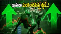 Multibagger Stock: లక్షను రూ.72 లక్షలు చేసిన స్టాక్.. కంపెనీ మన తెలుగోళ్లదే గురూ..