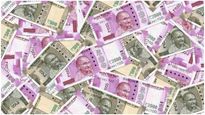 Business Ideas: తక్కువ పెట్టుబడి ఎక్కువ లాభం.. ప్లేస్‌తో సంబంధం లేని బిజినెస్..!