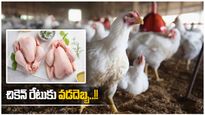Poultry Business: చికెన్ ప్రియులకు రేట్ల షాక్.. తెలంగాణ మాంసం ప్రియులకు కష్టమే.. 