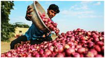 Onion Prices: మాట వినని టమాటా వెనకే ఉల్లి.. రేట్ల రన్నింగ్ స్టార్ట్.. పూర్తి వివరాలు