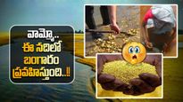 Gold News: బంగారం ప్రవహించే నది గురించి తెలుసా..? మన దేశంలోనే ఉంది.. 