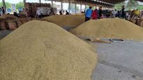De Oiled Rice Bran: పశుగ్రాసంపై నిషేధం విధించిన భారత్..