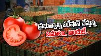 Tomato Prices: రంగంలోకి దిగిన కేంద్ర ప్రభుత్వం.. టమాటా ధరల కట్టడికి కీలక నిర్ణయం.. 
