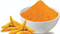  Turmeric: భారీగా పెరిగిన పసుపు ధరలు.. క్వింటాల్ రూ.14,000..