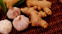 Garlic paste: అల్లం వెల్లుల్లితో లక్షలు సంపాదించవచ్చు.. ఎలాగంటే..!