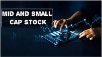 Mid And Small Cap Stock: మిడ్, స్మాల్ క్యాప్ కంపెనీ స్టాక్స్ పడిపోవచ్చు.. ప్రశాంత్ ఖేమ్కా