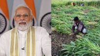 PM Kisan: పీఎం కిసాన్ సహాయాన్ని రూ. 10 పెంచాలన్న ఐసీఆర్ఐఈఆర్..