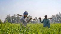 MSP Hike: రైతులకు శుభవార్త.. 6 పంటలపై మద్ధతు ధరలు పెంచిన  మోదీ సర్కార్..
