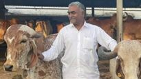 Success Story: ఆవుని నమ్ముకున్నాడు.. ఏడాదికి రూ.8 కోట్లు సంపాదిస్తున్న గుజరాతీ రైతు..