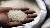 rice exports: బియ్యం, గోధుమ ఎగుమతులపై కేంద్రం మంత్రి వ్యాఖ్యలు.. ఆ ప్రతిపాదన ఏమీ లేదని స్పష్టం