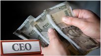 Highest Salaries: దేశంలో అత్యధిక జీతాలు తీసుకుంటున్న సీఈఓలు వీరే..