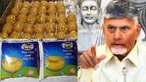 Tirumala Laddu: తిరుమల వెంకన్నకు నెయ్యి కష్టాలు.. చంద్రబాబు యాక్షన్ ప్లాన్..