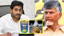 Tirumala Laddu: నందిని నెయ్యి కొనుగోళ్లు జగన్ ఎందుకు ఆపేశారు.. అసలు కథ ఇదే..!!