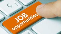 యువతకు పుష్కలంగా కొత్త ఉద్యోగాలు.. రానున్న రోజుల్లో ఈ రంగలదే హావా.. : రిపోర్ట్