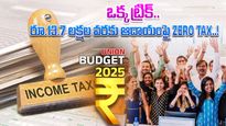Income Tax: IT ఉద్యోగులకు గుడ్‌న్యూస్.. ఈ ట్రిక్ వాడితో రూ.13.7 లక్షల వరకు ఆదాయంపై 'ZERO' టాక్స్ 